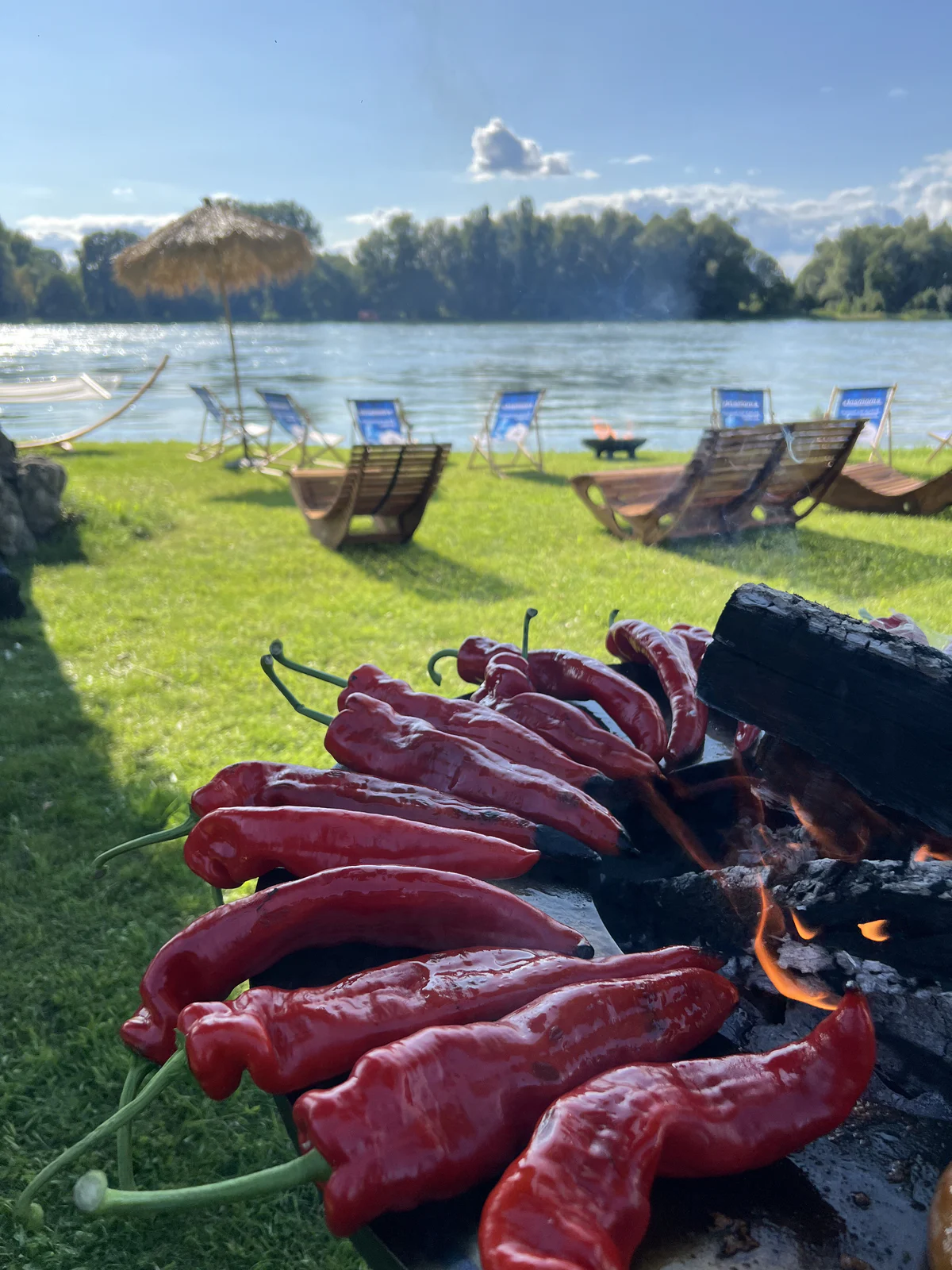 Vorbereitete Fleischspieße liegen am Grill bereit